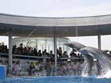 大分マリーンパレス水族館うみたまご